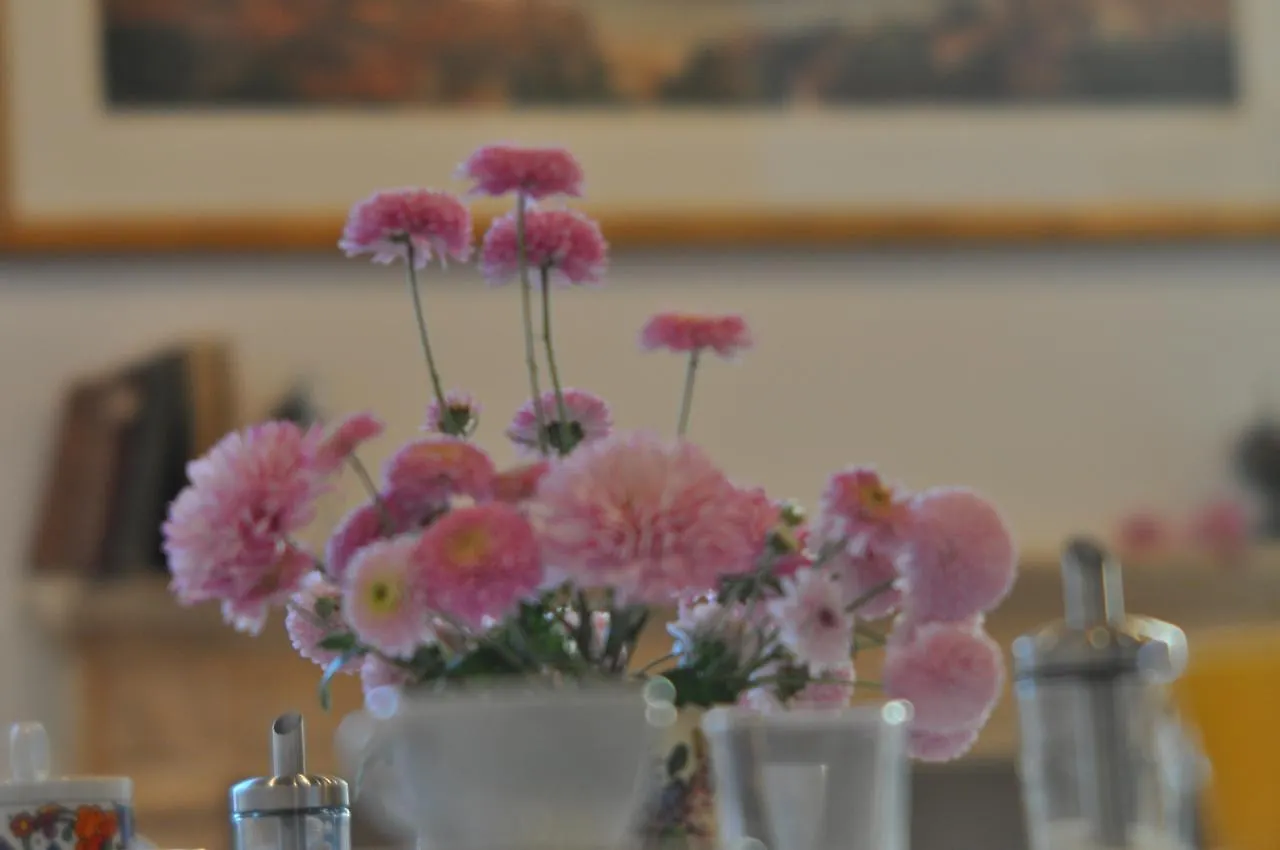 Bed & Breakfast Piazza Erbe Suites Verona